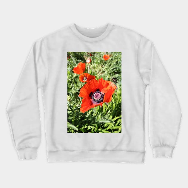 red poppies Crewneck Sweatshirt by pinkal